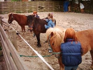 Kinder beim Ponyputzen